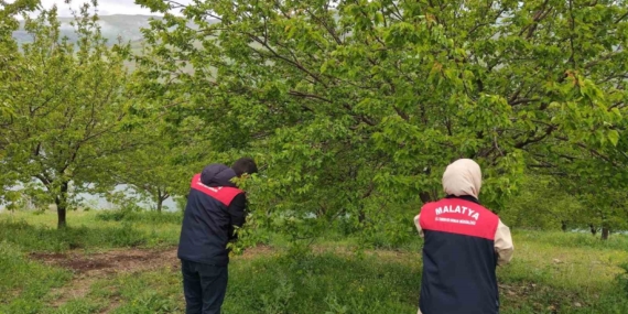 Malatya’da Dolu Sonrası Hasar Tespiti İçin Çalışmalar Başlatıldı