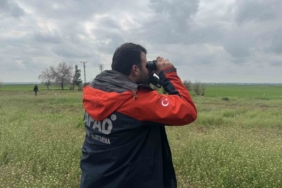 mardinde-kayip-yasli-kadinin-aranmasina-devam-ediliyor-19GaSsVM.jpg