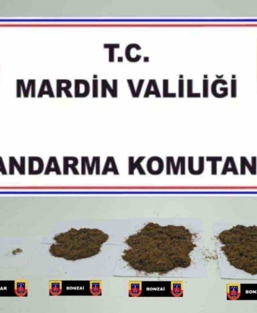 mardinde-uyusturucu-ile-mucadele-yeni-operasyonlar-baslatildi-55d471LQ.jpg