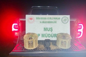 musta-kacak-keklik-avinda-sucustu-65-bin-tl-cezali-yakalama-vkjn6Tnz.jpg