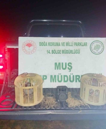 musta-kacak-keklik-avinda-sucustu-65-bin-tl-cezali-yakalama-vkjn6Tnz.jpg