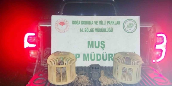 Muş’ta Kaçak Keklik Avında Suçüstü: 65 Bin TL Cezalı Yakalama