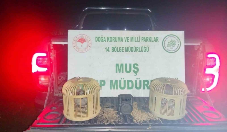 musta-kacak-keklik-avinda-sucustu-65-bin-tl-cezali-yakalama-vkjn6Tnz.jpg