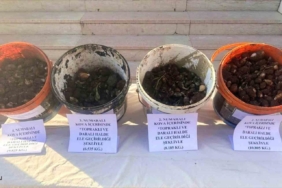 sasonda-endemik-bitki-operasyonunda-4-kisiye-2-milyon-8-bin-lira-ceza-kesildi-Mn51rQI5.jpg