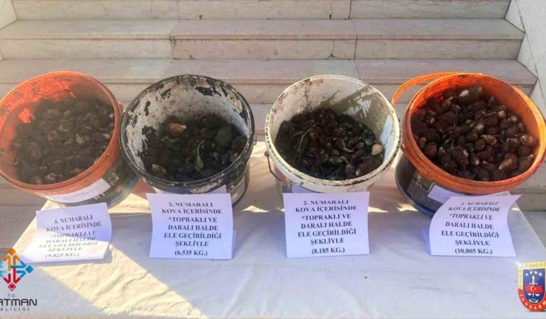 sasonda-endemik-bitki-operasyonunda-4-kisiye-2-milyon-8-bin-lira-ceza-kesildi-Mn51rQI5.jpg