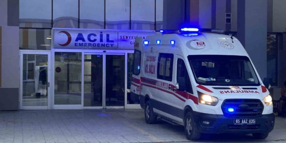 Van’da Köpek Saldırısında Hayatını Kaybeden 5 Yaşındaki Çocuk