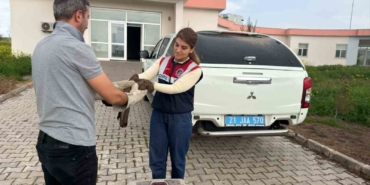 yarali-sahin-diyarbakirda-tedavi-altina-alindi-L1WqzIDq.jpg