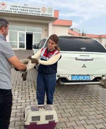 yarali-sahin-diyarbakirda-tedavi-altina-alindi-L1WqzIDq.jpg