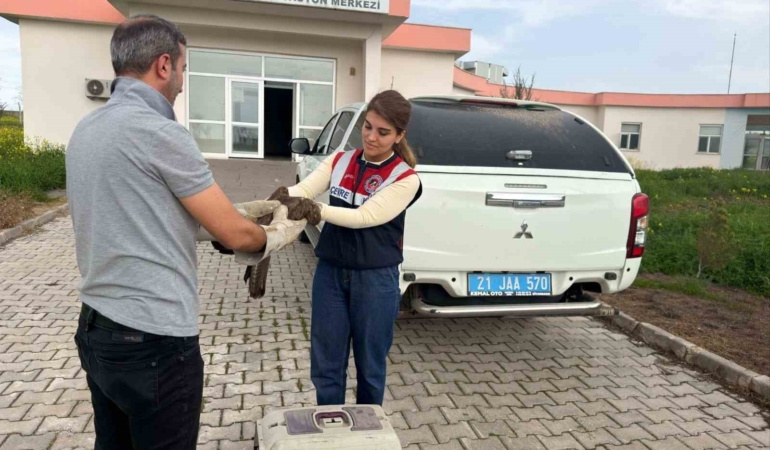 yarali-sahin-diyarbakirda-tedavi-altina-alindi-L1WqzIDq.jpg