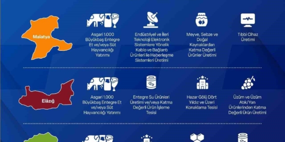 Yerel Kalkınma Hamlesi: Yatırımcılar için 301 Milyon TL’ye Kadar Destek Fırsatı