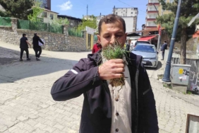 zuzubak-otu-koylulerin-ekonomisine-katki-saglayan-degerli-bir-kaynak-WIzyxHDK.jpg