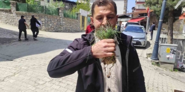 zuzubak-otu-koylulerin-ekonomisine-katki-saglayan-degerli-bir-kaynak-WIzyxHDK.jpg