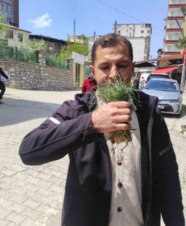 zuzubak-otu-koylulerin-ekonomisine-katki-saglayan-degerli-bir-kaynak-WIzyxHDK.jpg
