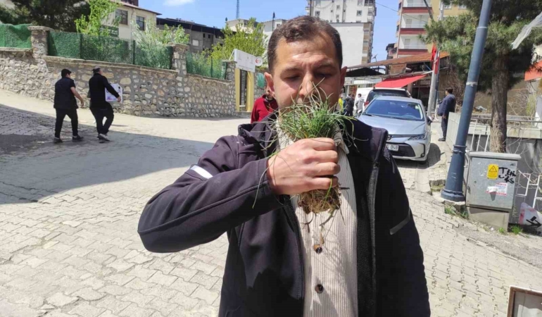 zuzubak-otu-koylulerin-ekonomisine-katki-saglayan-degerli-bir-kaynak-WIzyxHDK.jpg