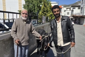36000-liraya-satilan-70-kiloluk-dev-keci-aLPjj9JD.jpg