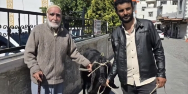 36000-liraya-satilan-70-kiloluk-dev-keci-aLPjj9JD.jpg