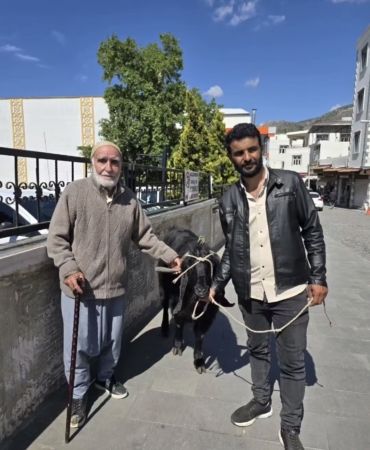 36000-liraya-satilan-70-kiloluk-dev-keci-aLPjj9JD.jpg