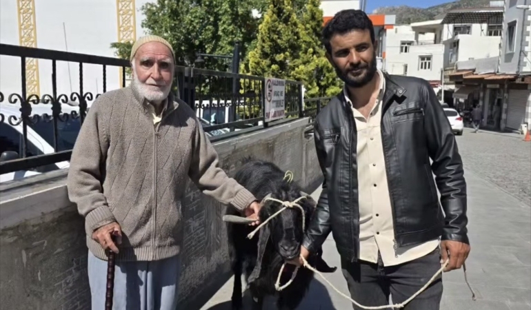 36000-liraya-satilan-70-kiloluk-dev-keci-aLPjj9JD.jpg