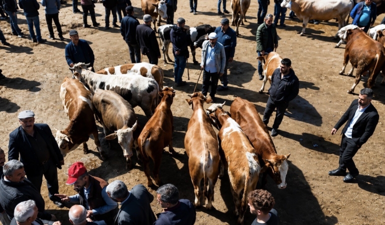 agri-kurban-pazari-canlaniyor-sevkiyatlarin-artisi-JTJnnPiz.jpg