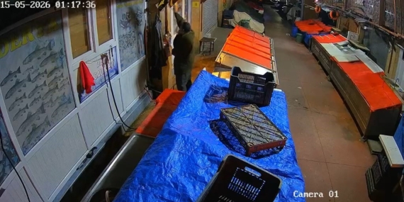 Balıkçı Dükkanından Masat ve Kancayı Çalan Gizemli Hırsız