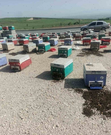 batmanda-arac-arizasi-sonucu-binlerce-ari-telef-oldu-NaWQBhe4.jpg