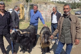 bayram-arefesinde-hayvan-pazarindaki-yogun-ilgi-2OM64ne5.jpg