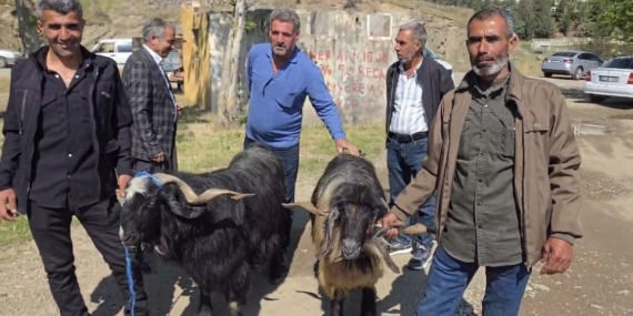 Bayram Arefesinde Hayvan Pazarındaki Yoğun İlgi