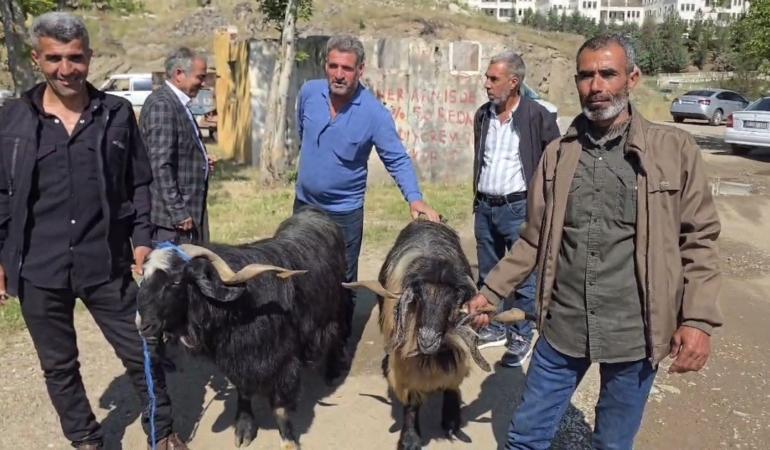 bayram-arefesinde-hayvan-pazarindaki-yogun-ilgi-2OM64ne5.jpg