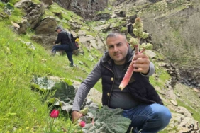 bitlisliler-yayla-muzu-icin-daglarda-bulustu-wvjHDggf.jpg
