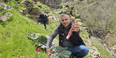 bitlisliler-yayla-muzu-icin-daglarda-bulustu-wvjHDggf.jpg