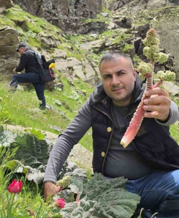 bitlisliler-yayla-muzu-icin-daglarda-bulustu-wvjHDggf.jpg