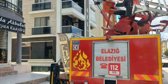 Cam Arasına Sıkışan Güvercin Kurtarılma Mücadelesi