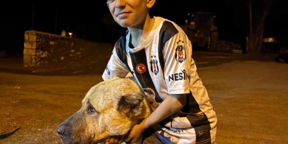 Çoban Köpeği Kral, İki Ayının Saldırısına Uğrayan Sencar’ın Yardımına Koştu