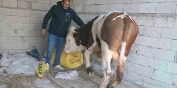 Diyadin’de Besicilik: Geçim Kaynağı Olarak Yükselişi