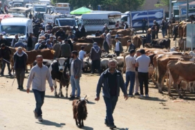 diyarbakir-canli-hayvan-borsasinda-kurbanlik-firsatlari-ve-hareketlilik-x8CQq45b.jpg