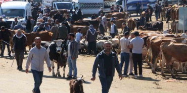 diyarbakir-canli-hayvan-borsasinda-kurbanlik-firsatlari-ve-hareketlilik-x8CQq45b.jpg