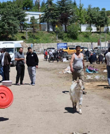 elazig-hayvan-pazarinda-suregelen-canlilik-tqP5s54d.jpg