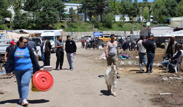 elazig-hayvan-pazarinda-suregelen-canlilik-tqP5s54d.jpg