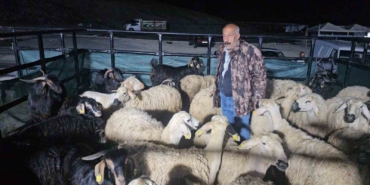 elazig-kurban-pazarinda-uykusuz-mesai-hayvanlar-geceyi-bekliyor-uyJxIAby.jpg