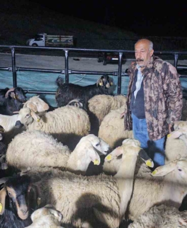 elazig-kurban-pazarinda-uykusuz-mesai-hayvanlar-geceyi-bekliyor-uyJxIAby.jpg
