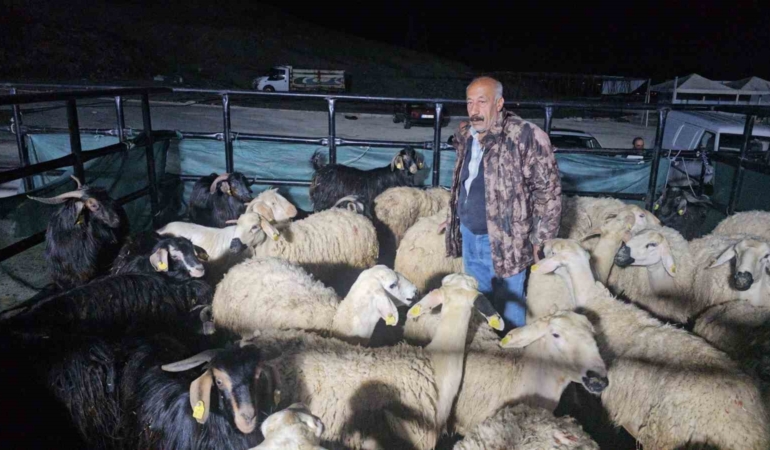 elazig-kurban-pazarinda-uykusuz-mesai-hayvanlar-geceyi-bekliyor-uyJxIAby.jpg