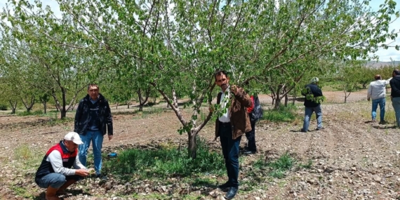 Elazığ’da Dolu Zararları Üzerine Hasar Tespiti Gerçekleştirildi
