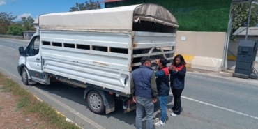 elazigda-kurban-bayrami-oncesi-hayvan-sevklerinde-siki-denetim-uygulamalari-SlvLlDRF.jpg