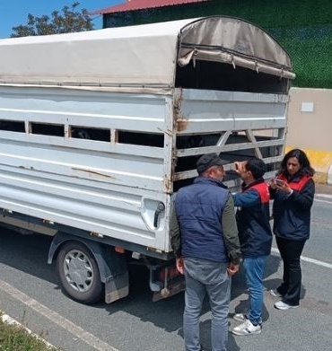 elazigda-kurban-bayrami-oncesi-hayvan-sevklerinde-siki-denetim-uygulamalari-SlvLlDRF.jpg