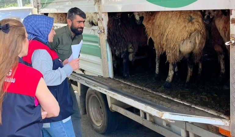 elazigda-kurban-bayrami-oncesi-yogun-denetimler-ySLjL8FO.jpg