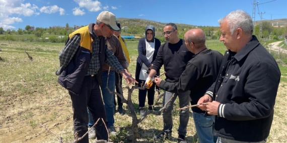 Elazığ’da Yenilikçi Tarla Okulu Eğitimleri Başlıyor