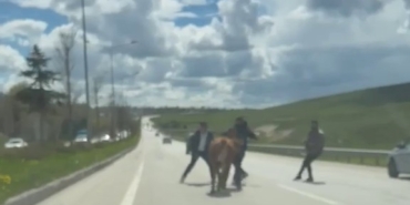 erzurumda-kurban-trafigi-kacan-hayvanlar-kaosu-surekli-kiliyor-Amd3QQIa.jpg