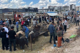 gaziantepteki-kurban-pazarlarinda-arefe-gunu-yogunlugu-zirveye-ulasti-Iiy3IGtS.jpg