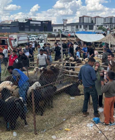 gaziantepteki-kurban-pazarlarinda-arefe-gunu-yogunlugu-zirveye-ulasti-Iiy3IGtS.jpg