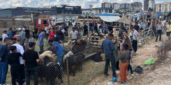 Gaziantep’teki Kurban Pazarlarında Arefe Günü Yoğunluğu Zirveye Ulaştı